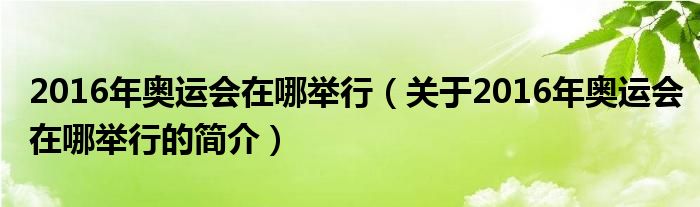 2016年奧運會在哪舉行（關(guān)于2016年奧運會在哪舉行的簡介）