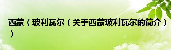 西蒙（玻利瓦爾（關(guān)于西蒙玻利瓦爾的簡(jiǎn)介））