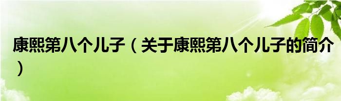 康熙第八個兒子（關(guān)于康熙第八個兒子的簡介）