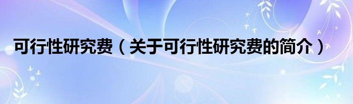 可行性研究費（關(guān)于可行性研究費的簡介）