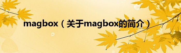 magbox（關于magbox的簡介）