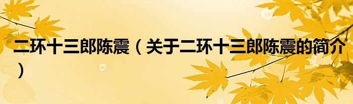 二環(huán)十三郎陳震（關(guān)于二環(huán)十三郎陳震的簡介）