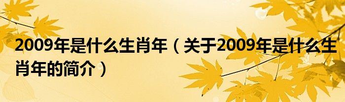 2009年是什么生肖年（關(guān)于2009年是什么生肖年的簡介）