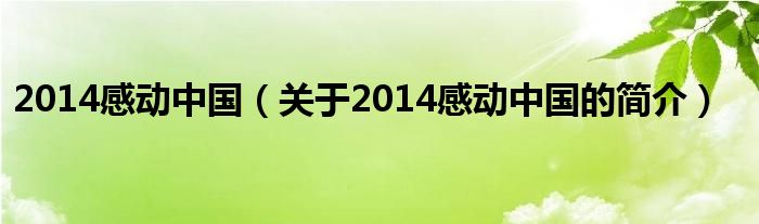 2014感動(dòng)中國(guó)（關(guān)于2014感動(dòng)中國(guó)的簡(jiǎn)介）