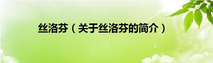 絲洛芬（關(guān)于絲洛芬的簡(jiǎn)介）