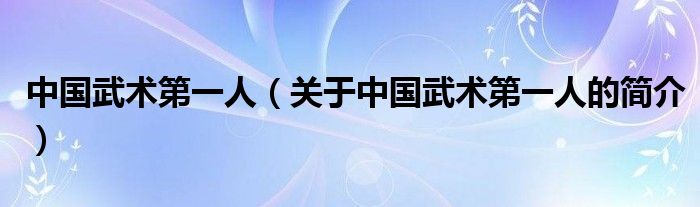 中國武術第一人（關于中國武術第一人的簡介）