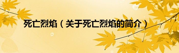 死亡烈焰（關(guān)于死亡烈焰的簡(jiǎn)介）