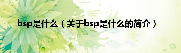 bsp是什么（關(guān)于bsp是什么的簡(jiǎn)介）