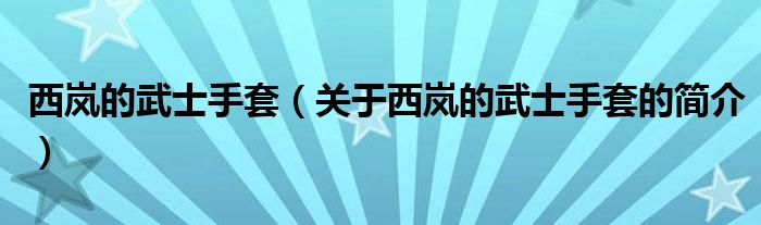 西嵐的武士手套（關(guān)于西嵐的武士手套的簡介）