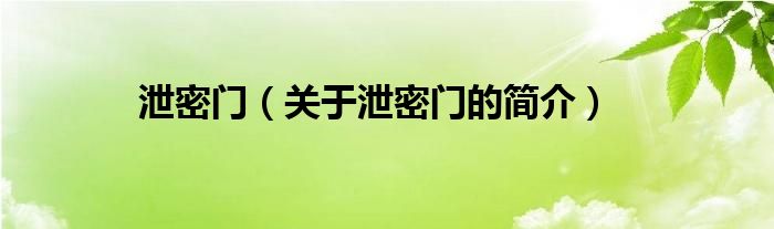 泄密門（關(guān)于泄密門的簡介）