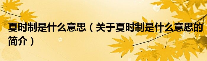 夏時制是什么意思（關(guān)于夏時制是什么意思的簡介）