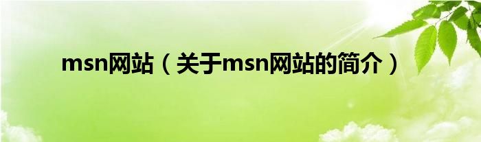 msn網(wǎng)站（關(guān)于msn網(wǎng)站的簡(jiǎn)介）