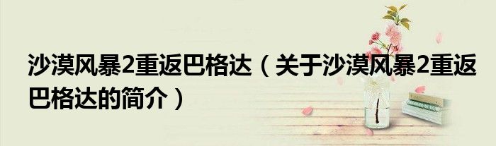 沙漠風暴2重返巴格達（關于沙漠風暴2重返巴格達的簡介）