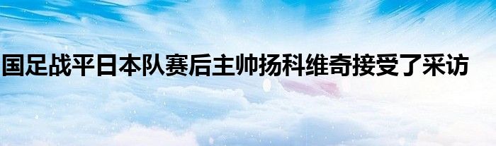 國(guó)足戰(zhàn)平日本隊(duì)賽后主帥揚(yáng)科維奇接受了采訪