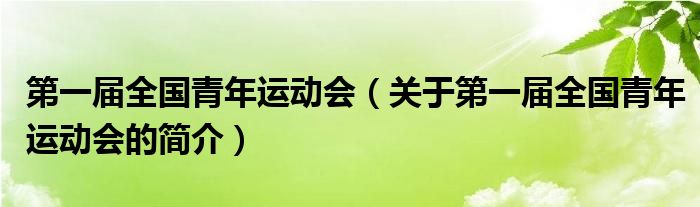 第一屆全國(guó)青年運(yùn)動(dòng)會(huì)（關(guān)于第一屆全國(guó)青年運(yùn)動(dòng)會(huì)的簡(jiǎn)介）