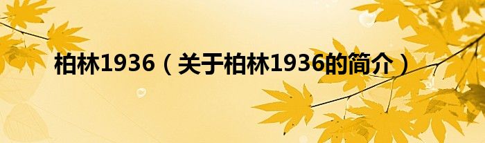 柏林1936（關(guān)于柏林1936的簡介）