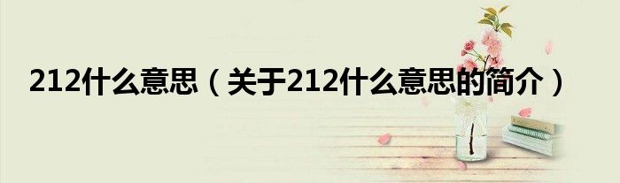 212什么意思（關(guān)于212什么意思的簡(jiǎn)介）