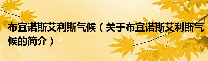 布宜諾斯艾利斯氣候（關(guān)于布宜諾斯艾利斯氣候的簡(jiǎn)介）