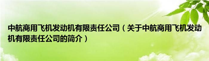 中航商用飛機發(fā)動機有限責任公司（關(guān)于中航商用飛機發(fā)動機有限責任公司的簡介）