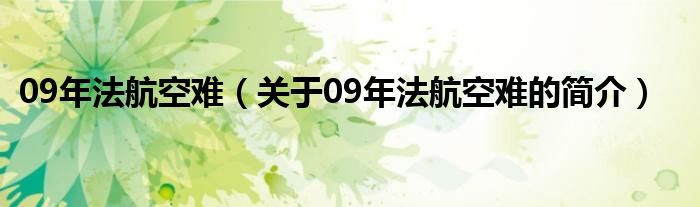 09年法航空難（關(guān)于09年法航空難的簡(jiǎn)介）