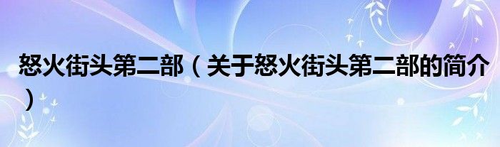 怒火街頭第二部（關(guān)于怒火街頭第二部的簡介）