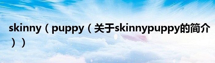 skinny（puppy（關于skinnypuppy的簡介））