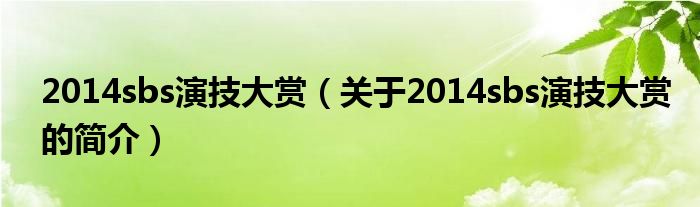 2014sbs演技大賞（關(guān)于2014sbs演技大賞的簡(jiǎn)介）