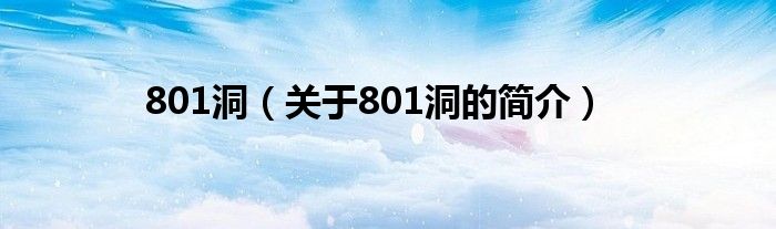 801洞（關(guān)于801洞的簡(jiǎn)介）