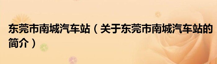 東莞市南城汽車(chē)站（關(guān)于東莞市南城汽車(chē)站的簡(jiǎn)介）