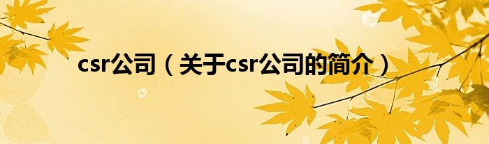 csr公司（關(guān)于csr公司的簡介）