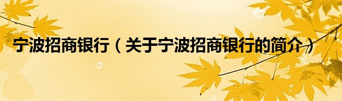 寧波招商銀行（關(guān)于寧波招商銀行的簡介）