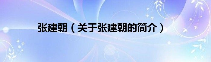 張建朝（關(guān)于張建朝的簡(jiǎn)介）