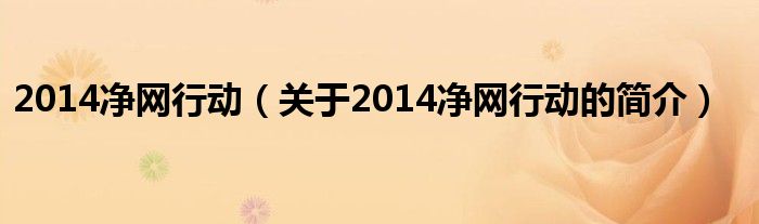 2014凈網(wǎng)行動（關(guān)于2014凈網(wǎng)行動的簡介）