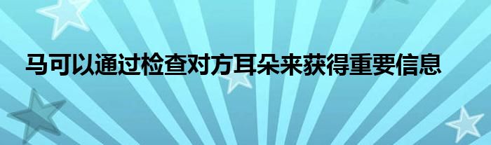 馬可以通過檢查對方耳朵來獲得重要信息