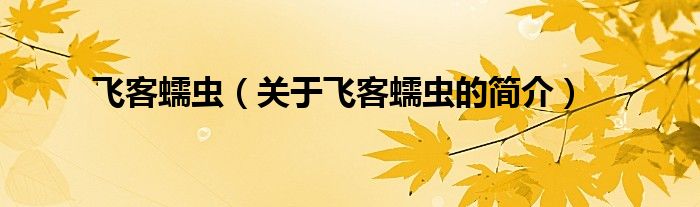 飛客蠕蟲（關(guān)于飛客蠕蟲的簡(jiǎn)介）