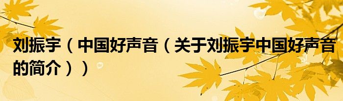 劉振宇（中國(guó)好聲音（關(guān)于劉振宇中國(guó)好聲音的簡(jiǎn)介））