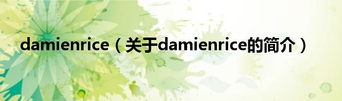 damienrice（關(guān)于damienrice的簡介）