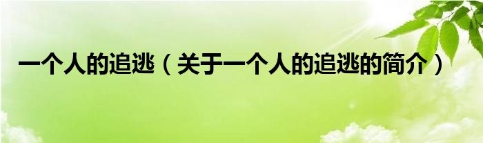 一個人的追逃（關(guān)于一個人的追逃的簡介）