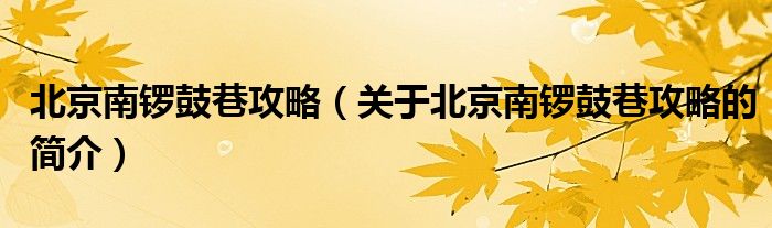 北京南鑼鼓巷攻略（關(guān)于北京南鑼鼓巷攻略的簡(jiǎn)介）