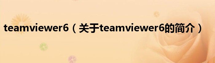 teamviewer6（關于teamviewer6的簡介）