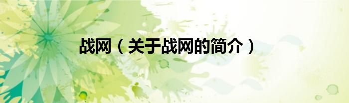 戰(zhàn)網(wǎng)（關(guān)于戰(zhàn)網(wǎng)的簡介）