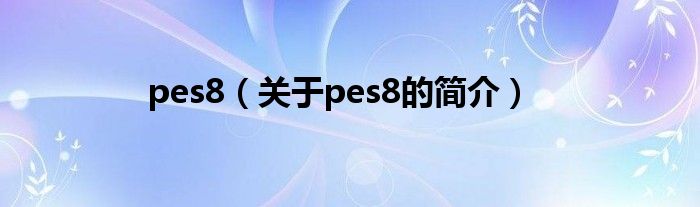 pes8（關(guān)于pes8的簡介）