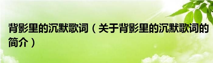 背影里的沉默歌詞（關(guān)于背影里的沉默歌詞的簡(jiǎn)介）