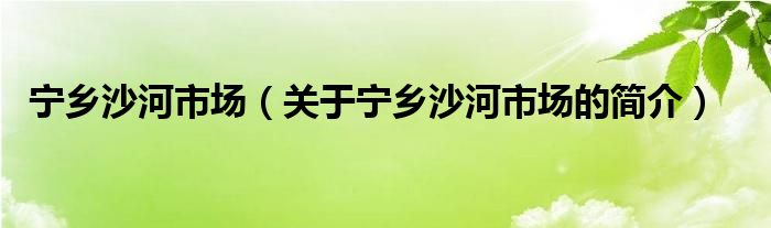 寧鄉(xiāng)沙河市場（關于寧鄉(xiāng)沙河市場的簡介）