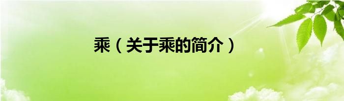 乘（關(guān)于乘的簡介）