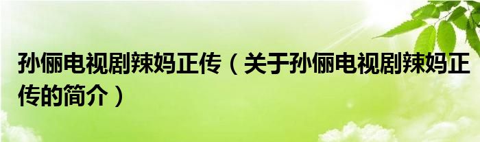 孫儷電視劇辣媽正傳（關(guān)于孫儷電視劇辣媽正傳的簡介）