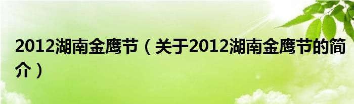 2012湖南金鷹節(jié)（關(guān)于2012湖南金鷹節(jié)的簡介）