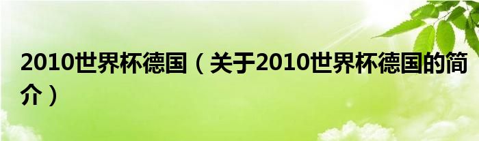 2010世界杯德國（關于2010世界杯德國的簡介）