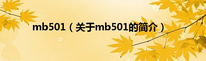 mb501（關于mb501的簡介）