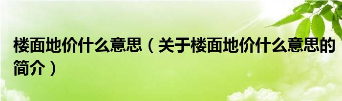 樓面地價(jià)什么意思（關(guān)于樓面地價(jià)什么意思的簡(jiǎn)介）